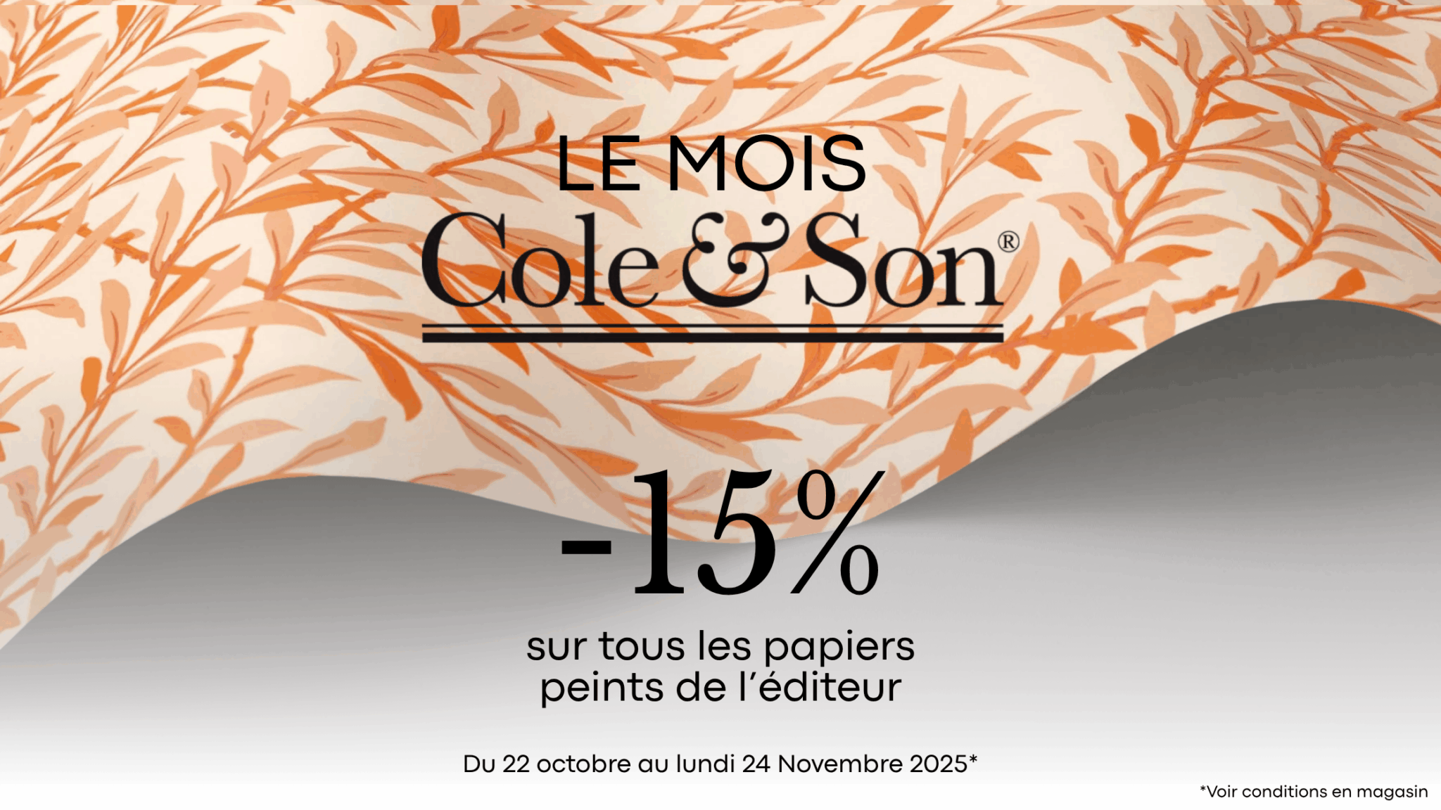 Bénéficiez de -15 % sur toute la gamme Colle & Son et laissez libre cours à vos projets !